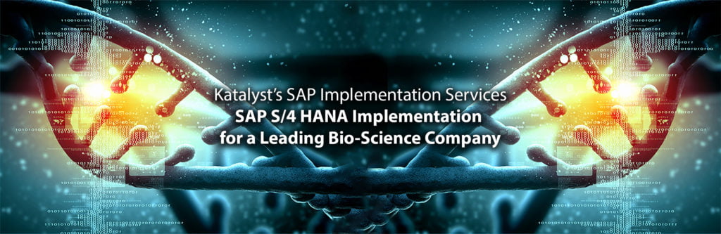 sap s4 hana implementation